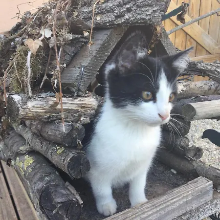 Au Normand Πανσιόν 4*