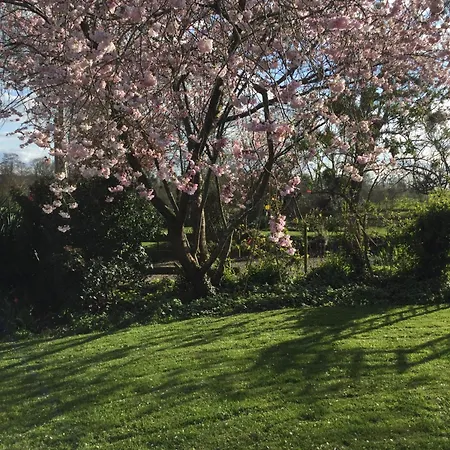 Πανσιόν Au Normand Saint-James