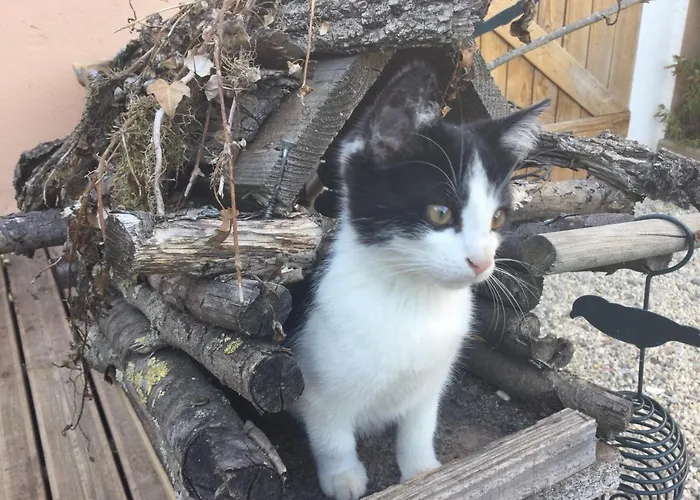 Au Normand Πανσιόν 4*