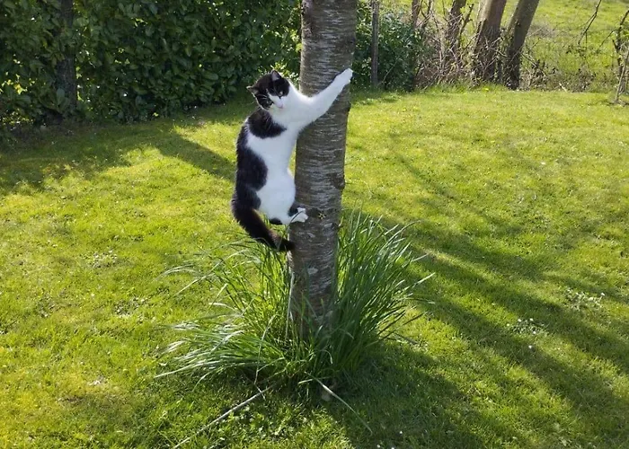 Au Normand Saint-James